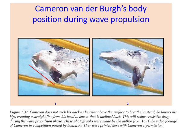 Dr. Ernie Maglischo's Primer for Swim Coaches