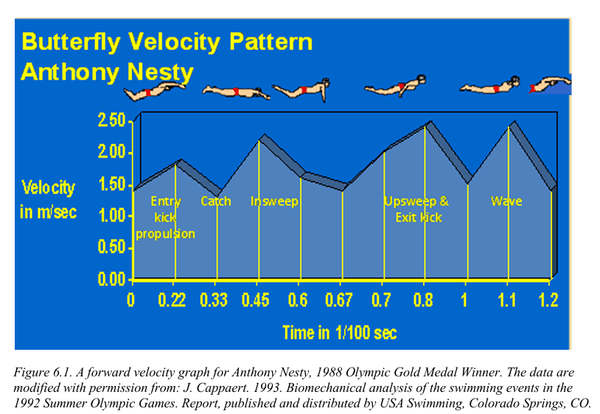 Dr. Ernie Maglischo's Primer for Swim Coaches
