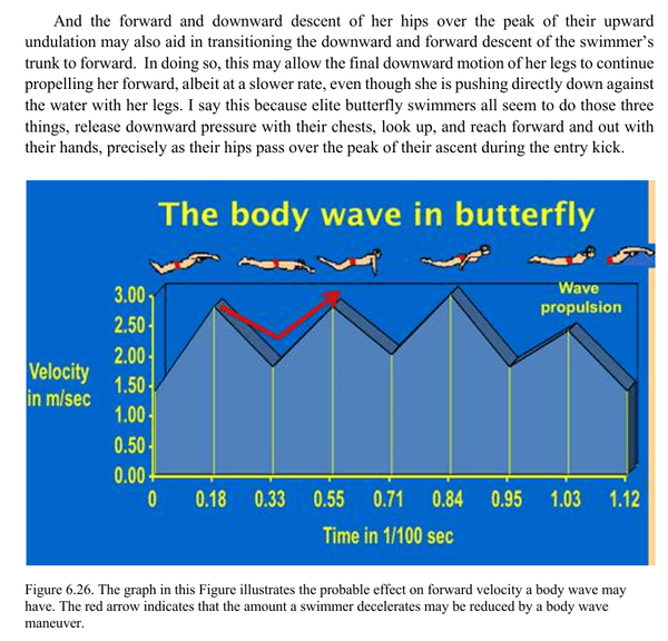 Dr. Ernie Maglischo's Primer for Swim Coaches