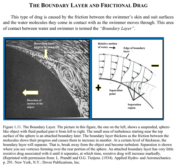 Dr. Ernie Maglischo's Primer for Swim Coaches