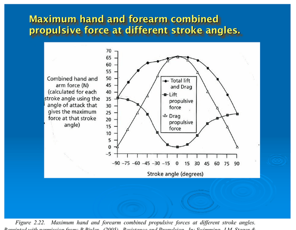 Dr. Ernie Maglischo's Primer for Swim Coaches