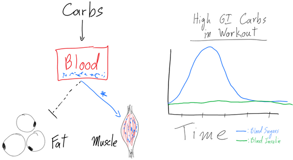 Guide nutritionnel du nageur