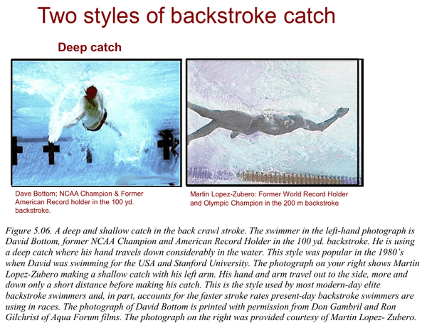 Dr. Ernie Maglischo's Primer for Swim Coaches