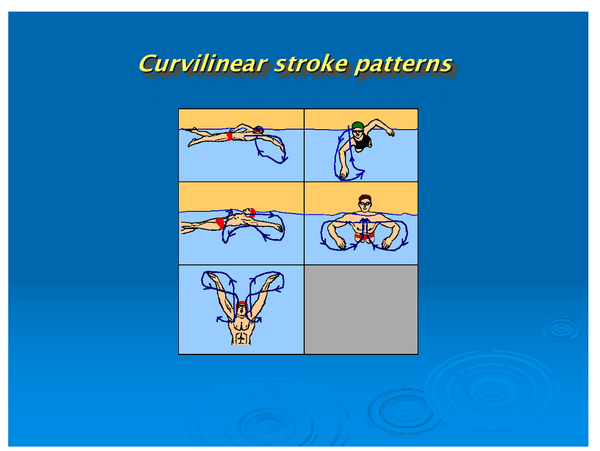 Dr. Ernie Maglischo's Primer for Swim Coaches