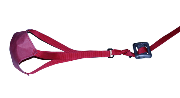 Swimming weight shop belt