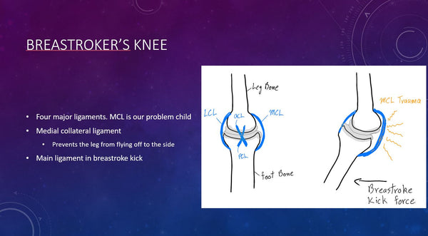 Le cours de biologie de la natation