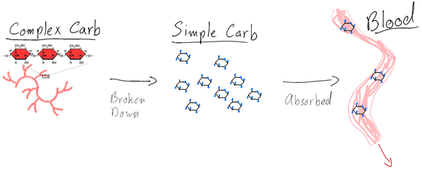 Guide de démarrage du nageur