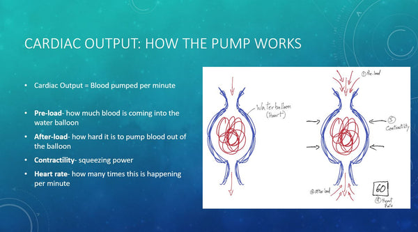 Le cours de biologie de la natation