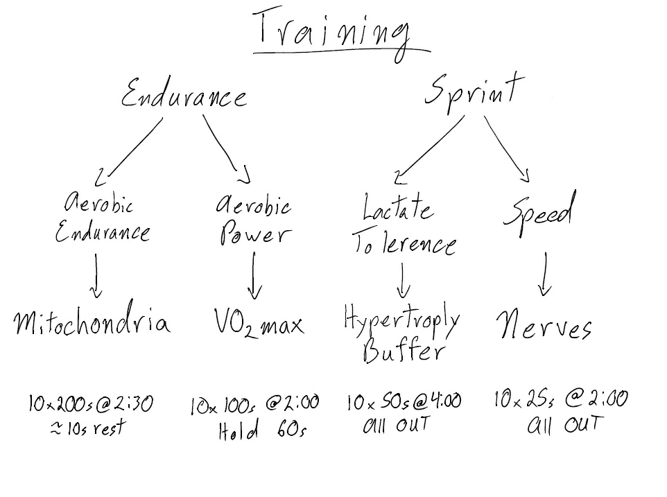 Swim Coach's Starter Guide1