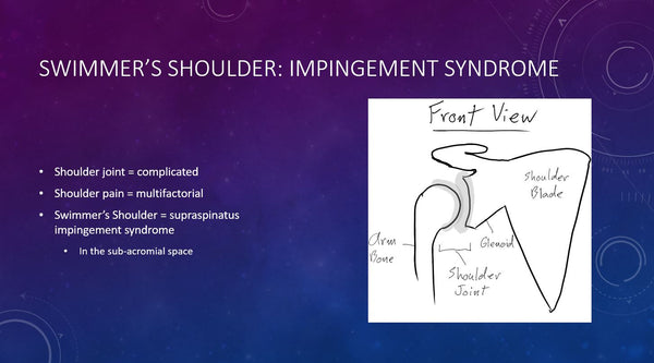 Le cours de biologie de la natation